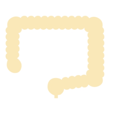 大腸内視鏡検査